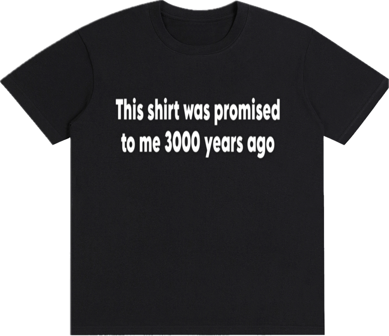 “Promised 3000 years ago” Lightweight cotton T shirt