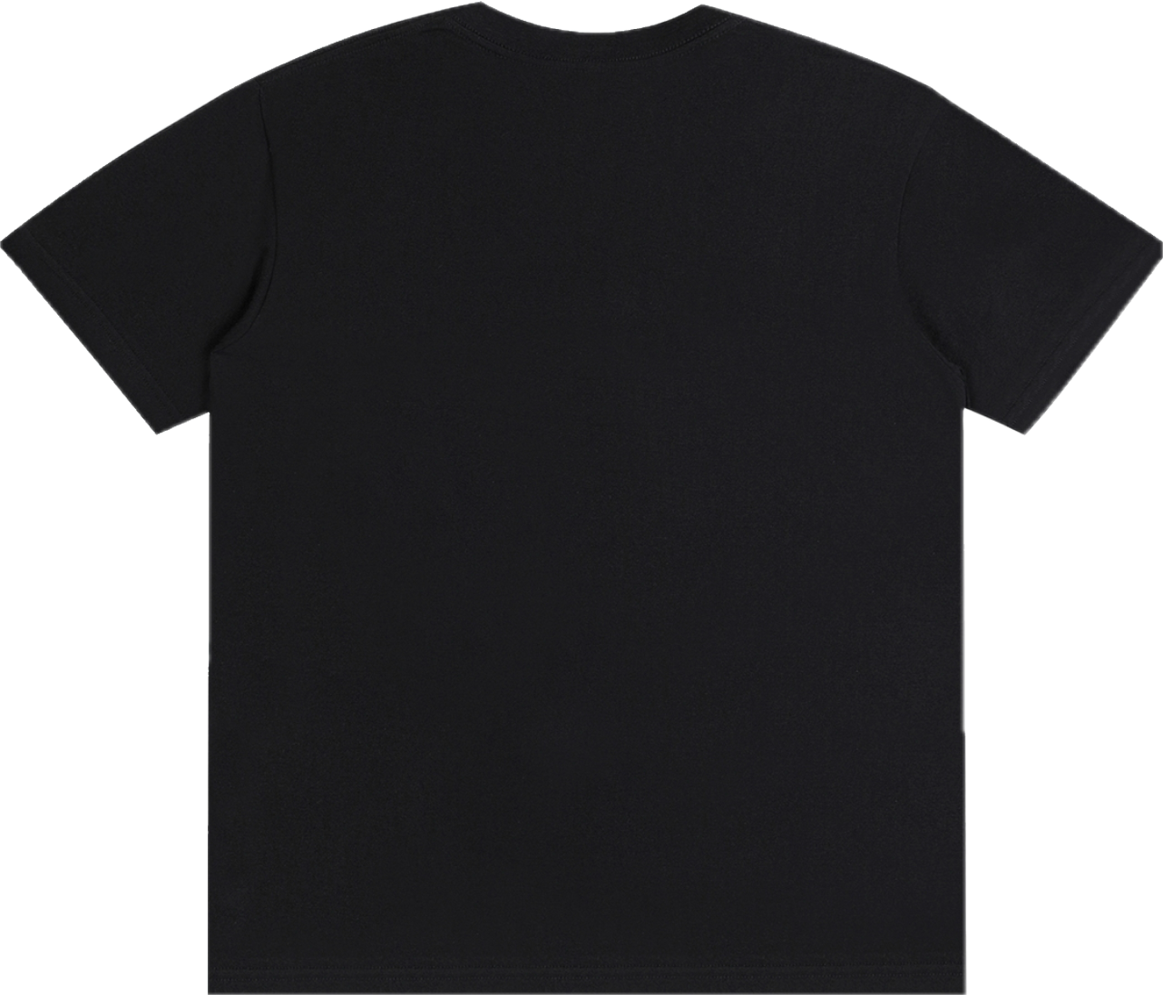 “Promised 3000 years ago” Lightweight cotton T shirt